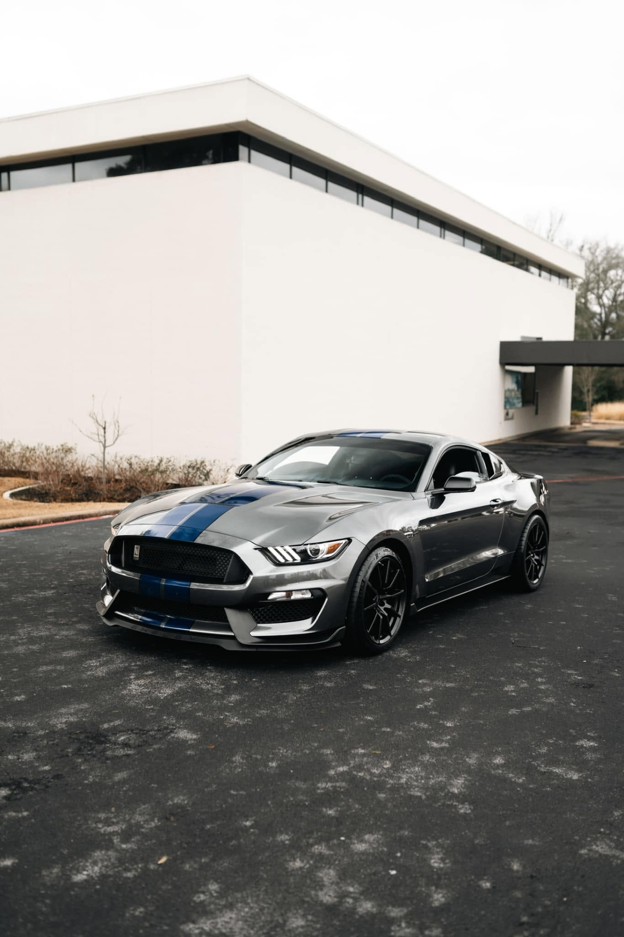 car detailing in Longview by SE Auto Solutions — Silver Shelby GT350 with blue stripes — high-gloss exterior finish, Longview